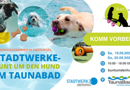 Bunt um den Hund im TaunaBad