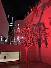 Lichtinstallation bringt das Jüdischen Museum zum Leuchten