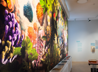 Natur + Medizin: Neue Dauerausstellung ab 18. April im Senckenberg Naturmuseum