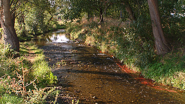 Drought leads to critical low water levels in Frankfurt streams