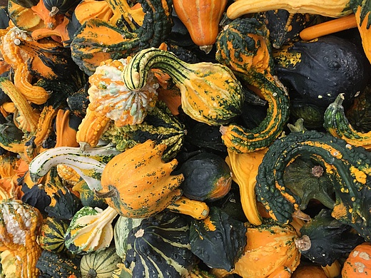 Idsteiner Herbstmarkt