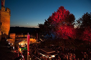 Ingelheim Red Wine Festival