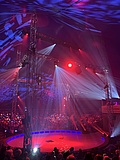 The Great Christmas Circus Frankfurt finally provides magical moments again