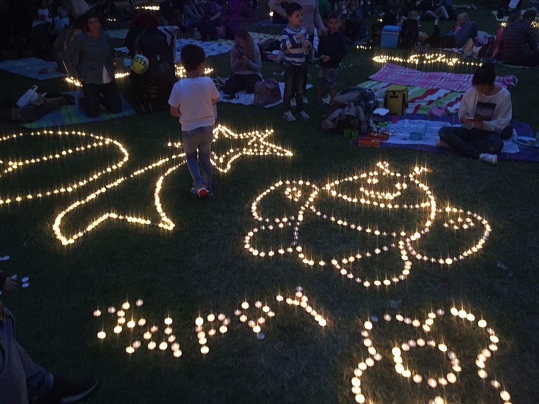 Relaxed To The Rose And Light Festival Subways And Buses Also At