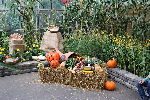 Herbstfest im Palmengarten