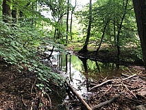 Discovering enchanted places - Of mills, streams and wells