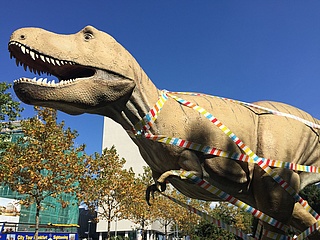 4th Hessian Sustainability Day at the Senckenberg Nature Museum