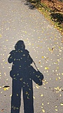 Ein bißchen Schatten: Erfrischende Orte im Sommer