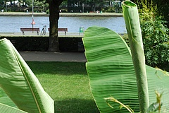 See oder Freibad? Sommerlust in Frankfurt