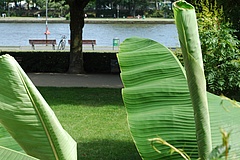 See oder Freibad? Sommerlust in Frankfurt