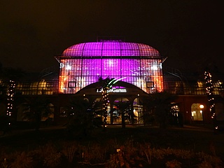 The Winter Lights will once again transform the Palmengarten into a magical landscape