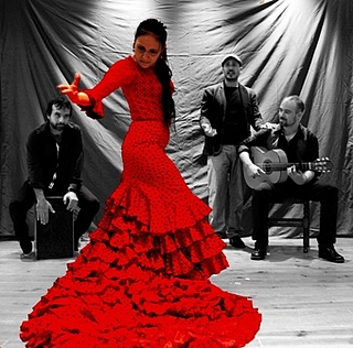 Flamenco - Sarsalé