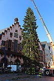 Weihnachtsbaum 'Peter II.' auf dem Frankfurter Römer angekommen