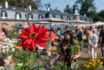 Fürstliches Gartenfest Schloss Wolfsgarten öffnet seine Tore unter dem Thema 'Die Große Gartenschule'