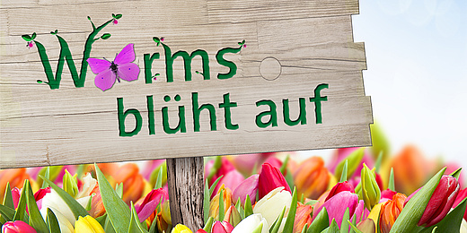 Worms blüht auf