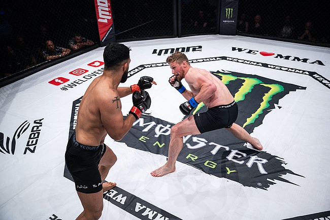 WE LOVE MMA 66 - The martial arts spectacle in Frankfurt