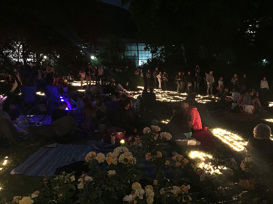 Entdecke Die Veranstaltung Rose Exhibition And Festival Of Lights