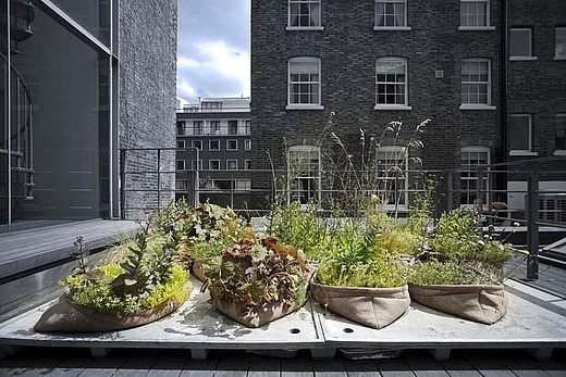 Einfach grün – Greening the City