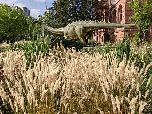 Wilder Sonntag auf dem Gelände des Senckenberg Institut