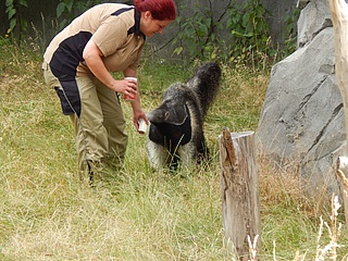 Frankfurt Zoo is pleased about a spectacular new arrival