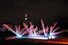 The winter lights shine again in the Palmengarten