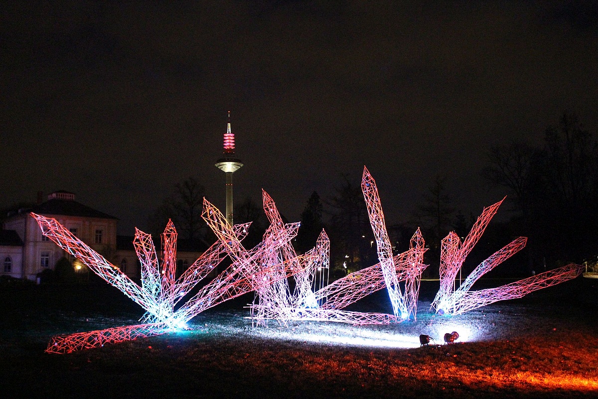 Die Winterlichter Leuchten Wieder Im Palmengarten