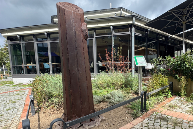 MERIANPLATZ: BAUMSKULPTUR ERINNERT AN VERGIFTETE PLATANEN