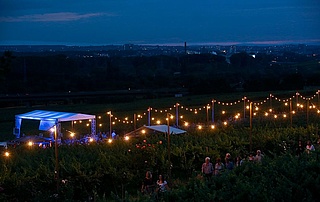 Hochheim Wine Festival