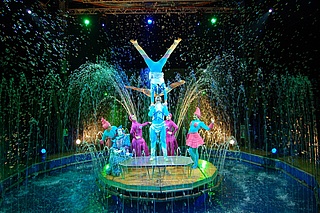 Aquatic Circus