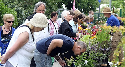 Sommerfest im Botanischen Garten 