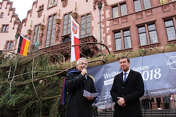 Lasst das Nörgeln beginnen - Der Frankfurter Weihnachtsbaum ist da!