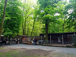 Kobelt Zoo öffnet am 04. Juli