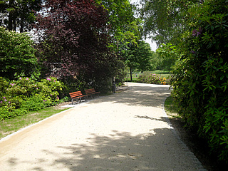 Letzter Bauabschnitt im Grüneburgpark beendet