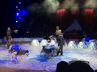 The Great Christmas Circus enchants not only the children on its anniversary