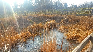 Frisch ans Wasser – Quellenwanderweg im Osten mit 6 Stationen