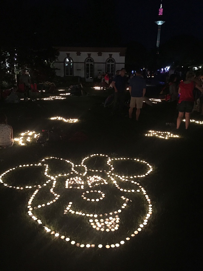 2021 frankfurt rosen lichterfest rosen lichterfest