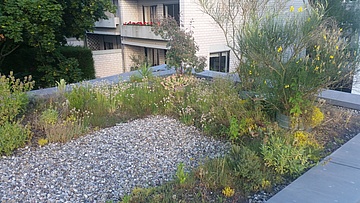 Frankfurt freshens up - biotope on the garage roof