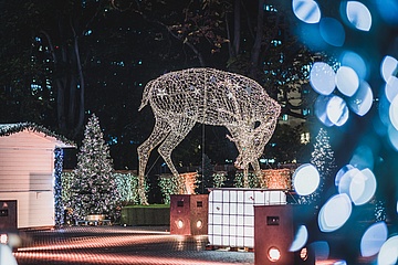 Gibson Club plant stimmungsvollen Wintermarkt mit Tiroler Flair