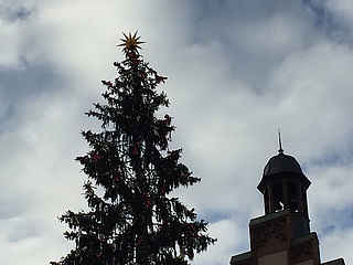 Frankfurts Weihnachtsbaum hat einen Stern