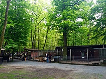 Der Kobelt Zoo öffnet Ende Mai