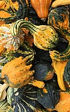 Idsteiner Herbstmarkt mit verkaufsoffenem Sonntag