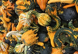 Idsteiner Herbstmarkt mit verkaufsoffenem Sonntag