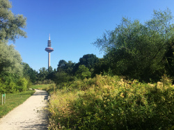 Der Botanische Garten Frankfurt: Die kleine Schwester des Palmengartens 