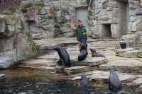 Zoo Frankfurt – Ein Erlebnis für die ganze Familie! BalouFFM
