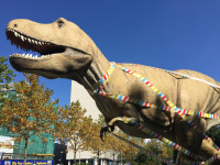 The Senckenberg Natural History Museum - One of the largest natural history museums in Europe 