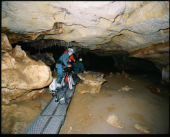 The Cave of Forgotten Dreams 3D