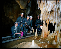 The Cave of Forgotten Dreams 3D