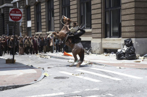 The Walking Dead - The Complete First Season UNCUT - DVD