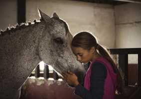 A Horse for Klara