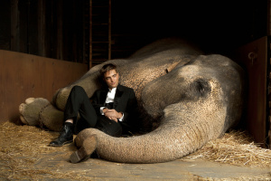 Water for the Elephants